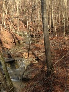 Early Spring with water in the creeks