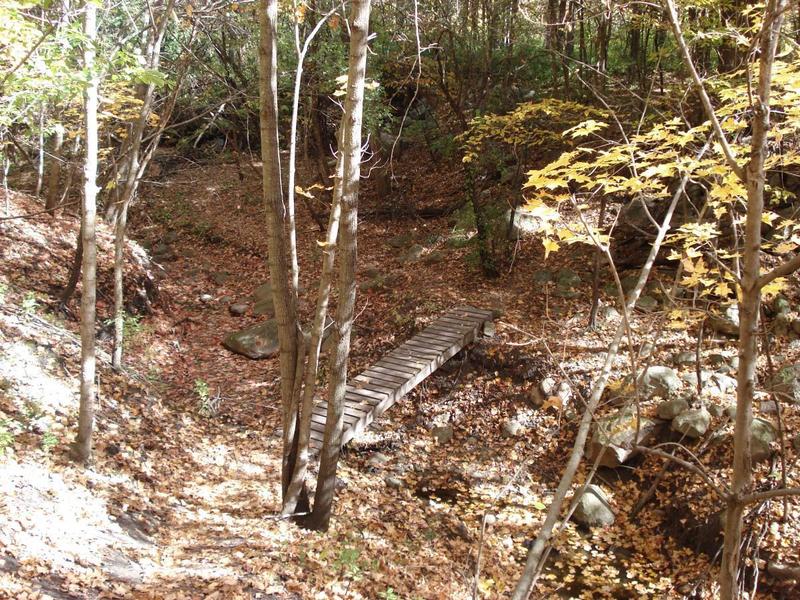 One of many bridges and stream crossings.