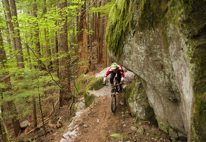 One of the highlights of Follow the Leader - overhang section high on the trail.