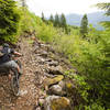 Quick scenic scree field on the lower section of Follow the Leader