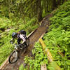 Rolling through the wet armored section above the bridge