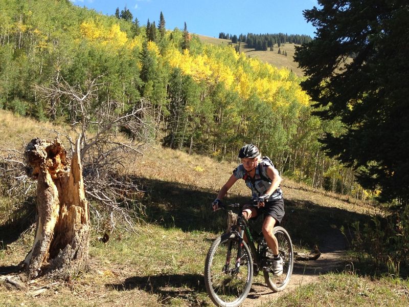 Aspens starting to change on the Deer Creek Trails