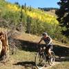 Aspens starting to change on the Deer Creek Trails