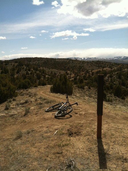 View of the Red Ridge connector trail at the 4 corners intersection. (End of Johnny's Draw Trail).