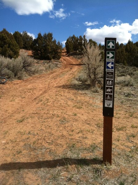 Looking up the 2 track which leads to Red Ridge. This intersection is called Twin Pipes.