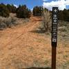 Looking up the 2 track which leads to Red Ridge. This intersection is called Twin Pipes.