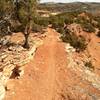 Descending Red Ridge toward parking lot. Fast and beautiful.