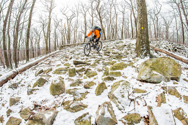 trek bicycle ringwood Marlin 4 With versatile trail geometry and Smart Wheel Sizing Marlin 5 Gen 3