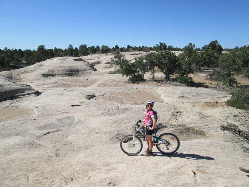 slickrock on bowls and ledges trail