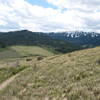 View West towards to Big Hole Mountains