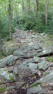 John Wert rock garden