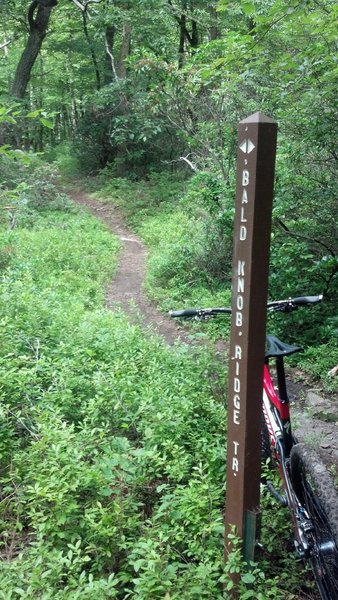 start of bald knob from green shoot climb