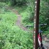 start of bald knob from green shoot climb