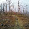 Fire burn section of Tussey Ridge