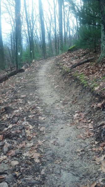 Leniency trail bench cut