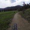 A ride along the meadow on wide, smooth singletrack