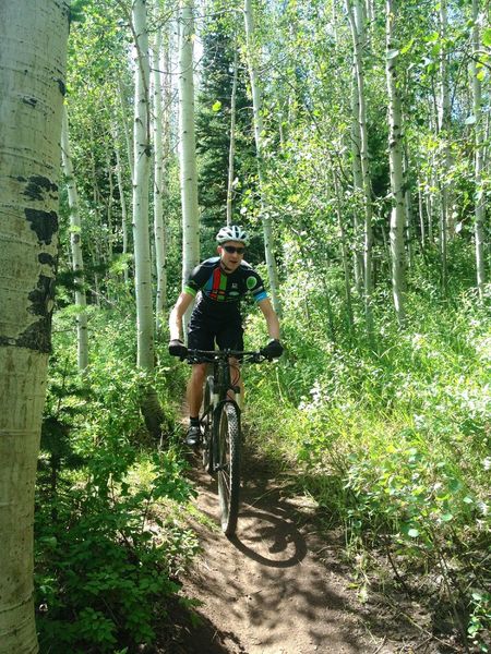 Cruising the aspens between ski runs