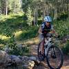 A mix of aspens, ski runs, and native meadow.