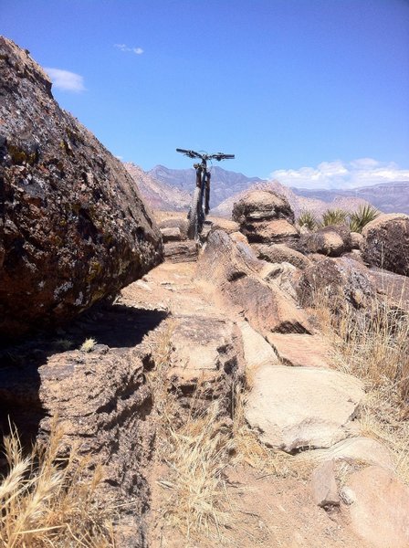 Ghost rider through one of the obstacles on Kibbles-n-Bits