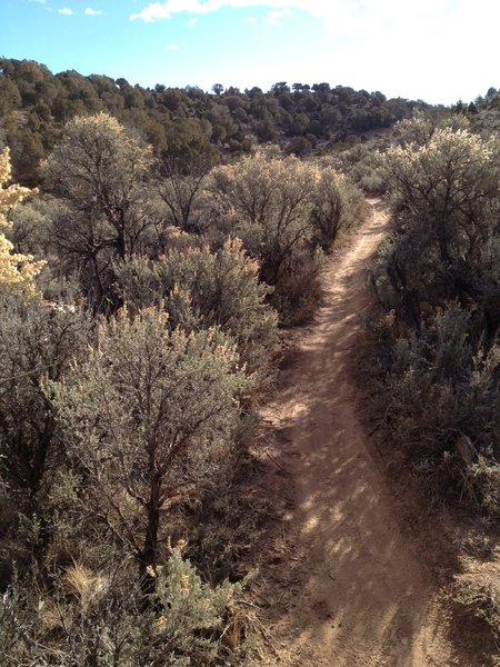 Lower Mayer Gluch trail looking south