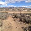 The Riddle Trail along the fence line.  Looking north with Castle Peak in the background.