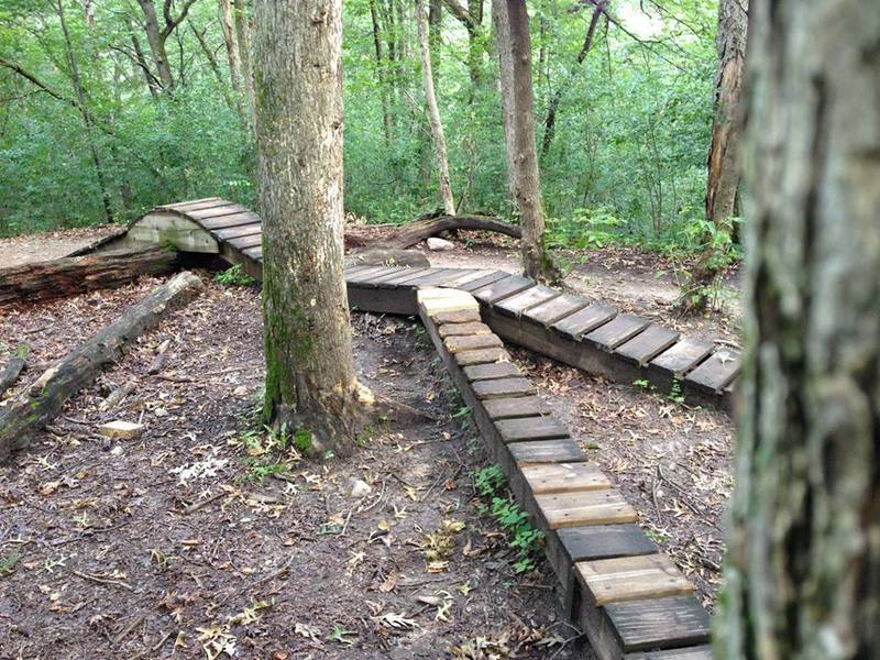 Camelback Obstacle.  One of many wood features at Lebanon Hills.