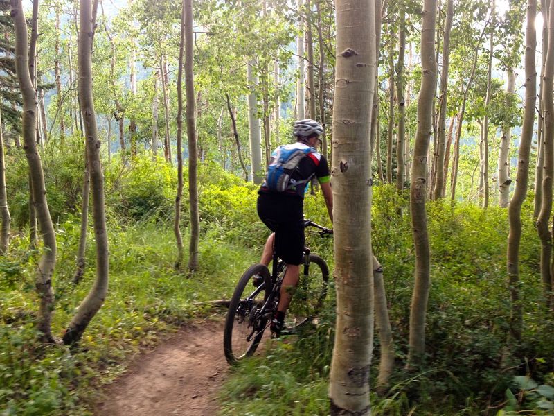 Easy switchbacks in the aspens