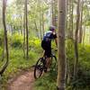 Easy switchbacks in the aspens