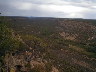 View up Spring Creek Canyon from the lookout