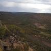 View up Spring Creek Canyon from the lookout