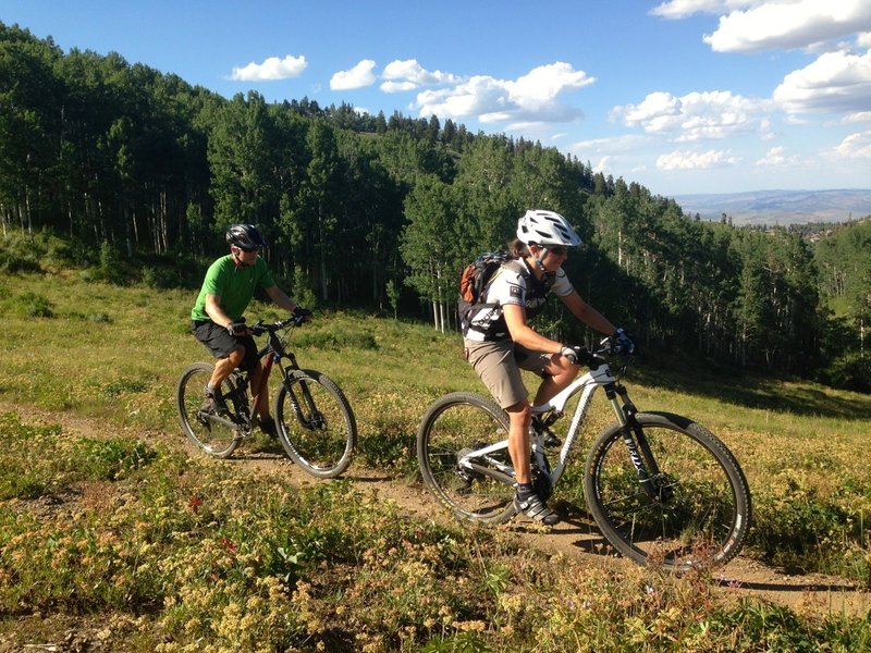 Flagstaff emerges from deep forest into beautiful meadows.