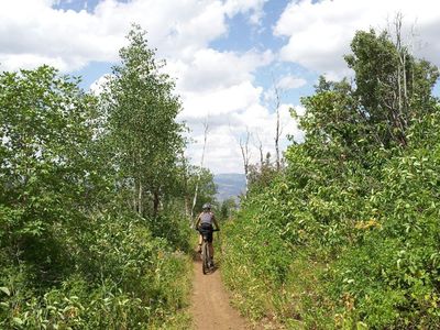 Pop through the scrub to the view that awaits