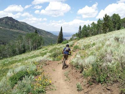 Hot, dry, desert-like section of Mojave