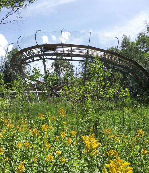 Views of the alpine roller coaster from the trail