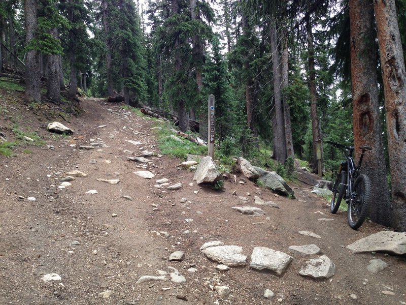 And take this singletrack trail off to the right