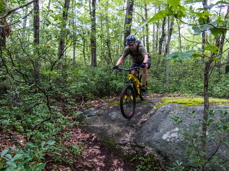 The first drop on this trail