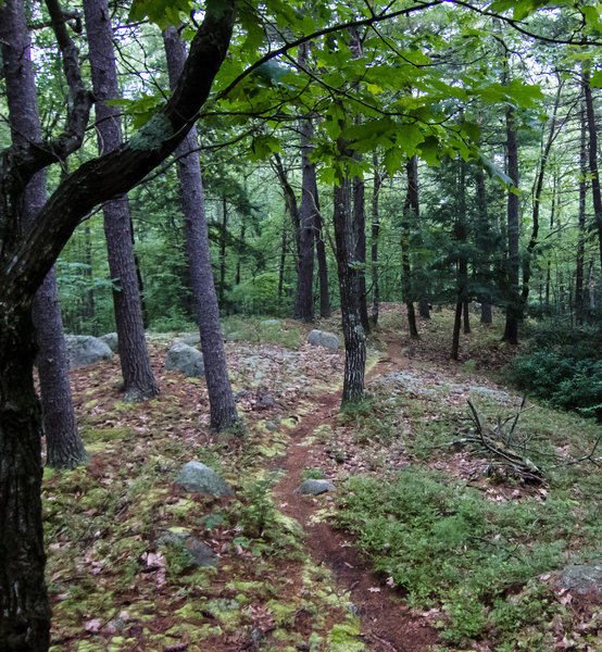 Next time I don't have to stop to take a pic and can just enjoy the flow of the trail.