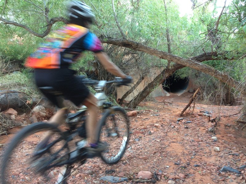 Entering the tunnel from the downstream (south) side.