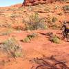 Making the hard left turn.  You eventually climb up onto the sandstone cliffs in the background.