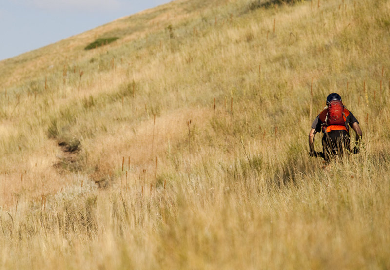 The initial climb up the Mt Helena Ridge trail.