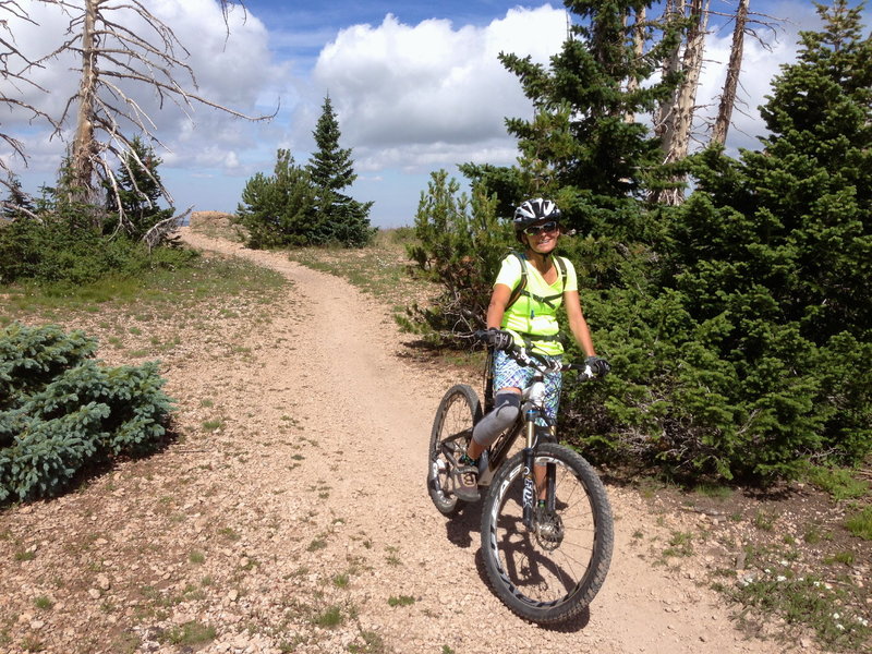 Easy singletrack on top.