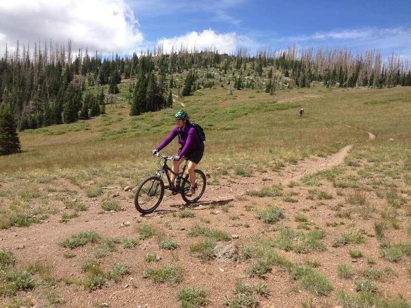 Dropping down, but still above timberline.