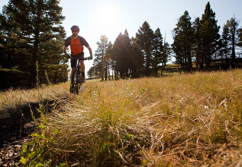 First quick meadow traverse after getting to the top of the initial climb to Mt Helena Ridge