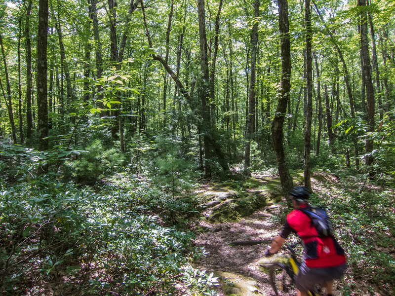 Entering the technical part of Tulepo Trail.