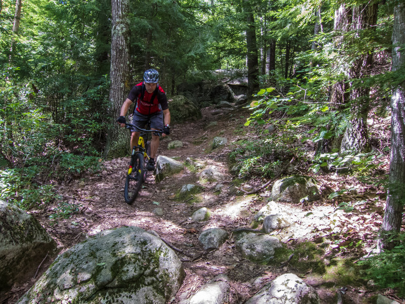 Tulepo Trail technical section