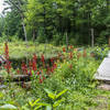 Wood Duck Pond bridge