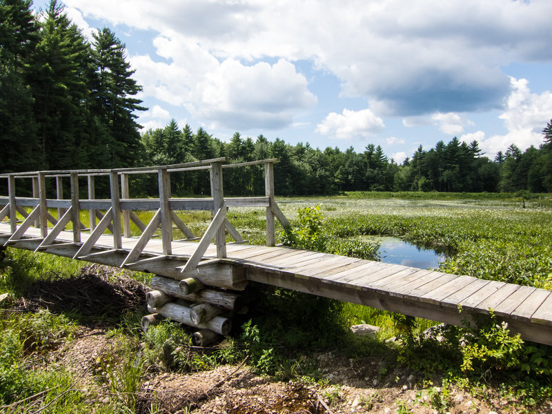 Wildlife Pond bridge