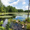 Beaver pond at Beaver Brook Association land