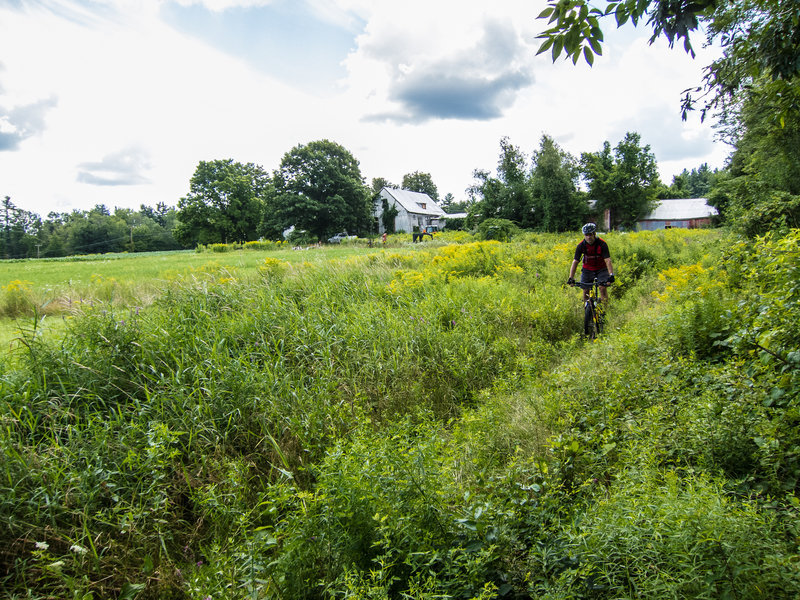 Enjoying the southern New Hampshire countryside on Beaver Brook Association land.