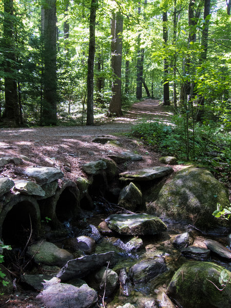 Cow Lane in Beaver Brook